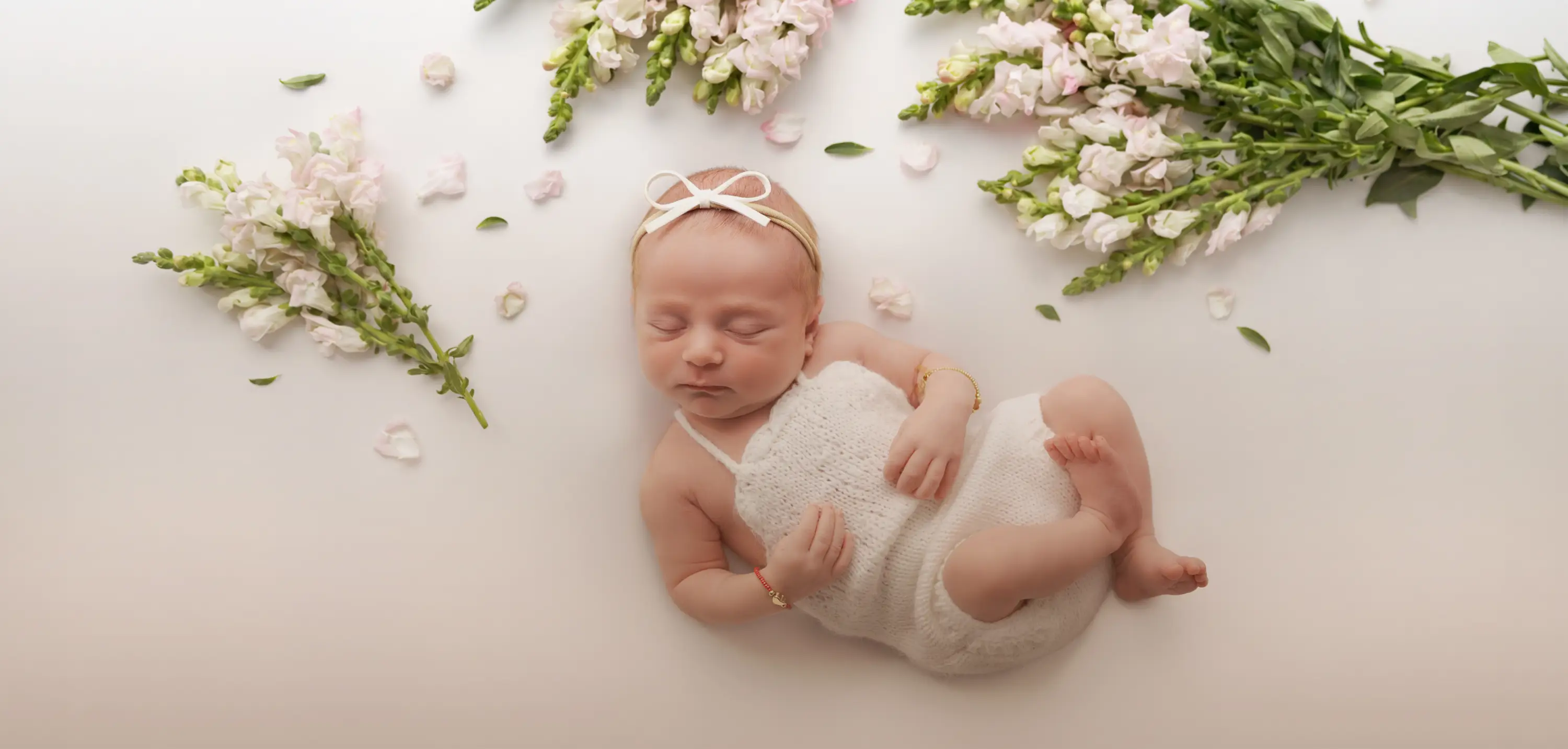 Leah Birn Photography